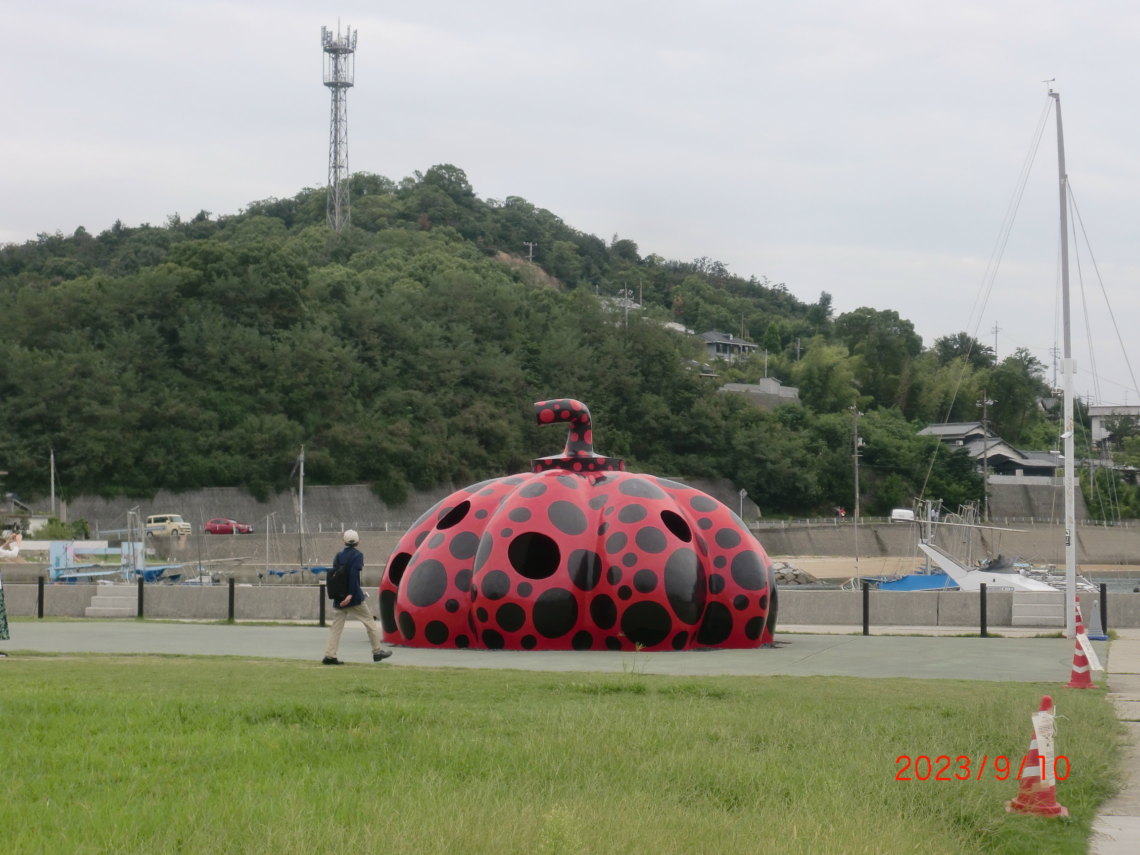 赤かぼちゃ